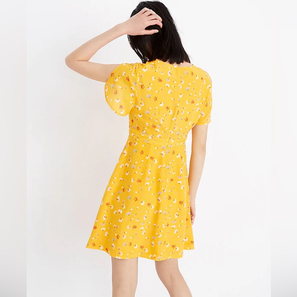 Madewell Silk Belladonna Painted Dress in Carnations Size 12 - Picture 2 of 13
